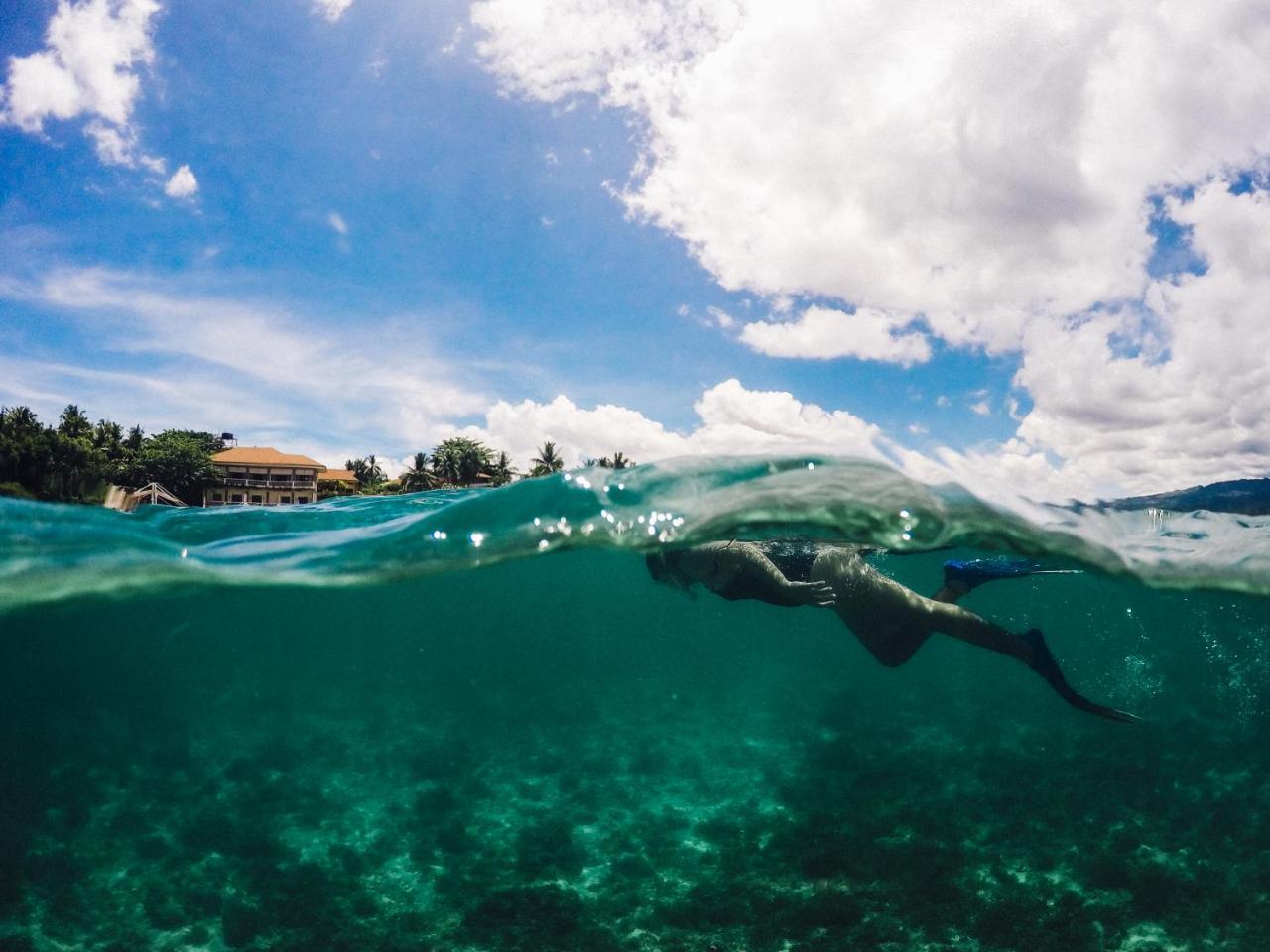 Turtle Bay Dive Resort Moalboal Eksteriør billede