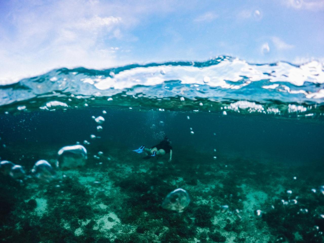 Turtle Bay Dive Resort Moalboal Eksteriør billede