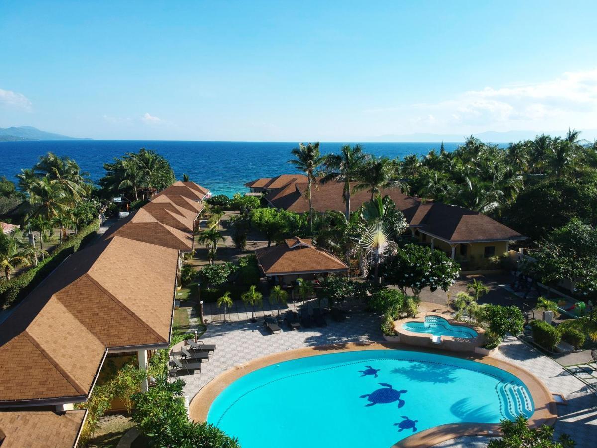 Turtle Bay Dive Resort Moalboal Eksteriør billede